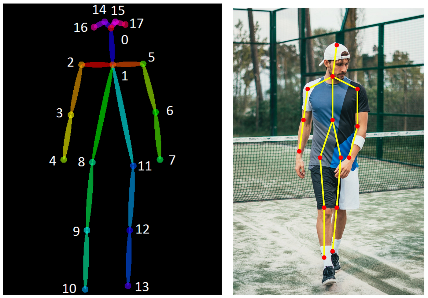 YOLOv7 Pose Detection